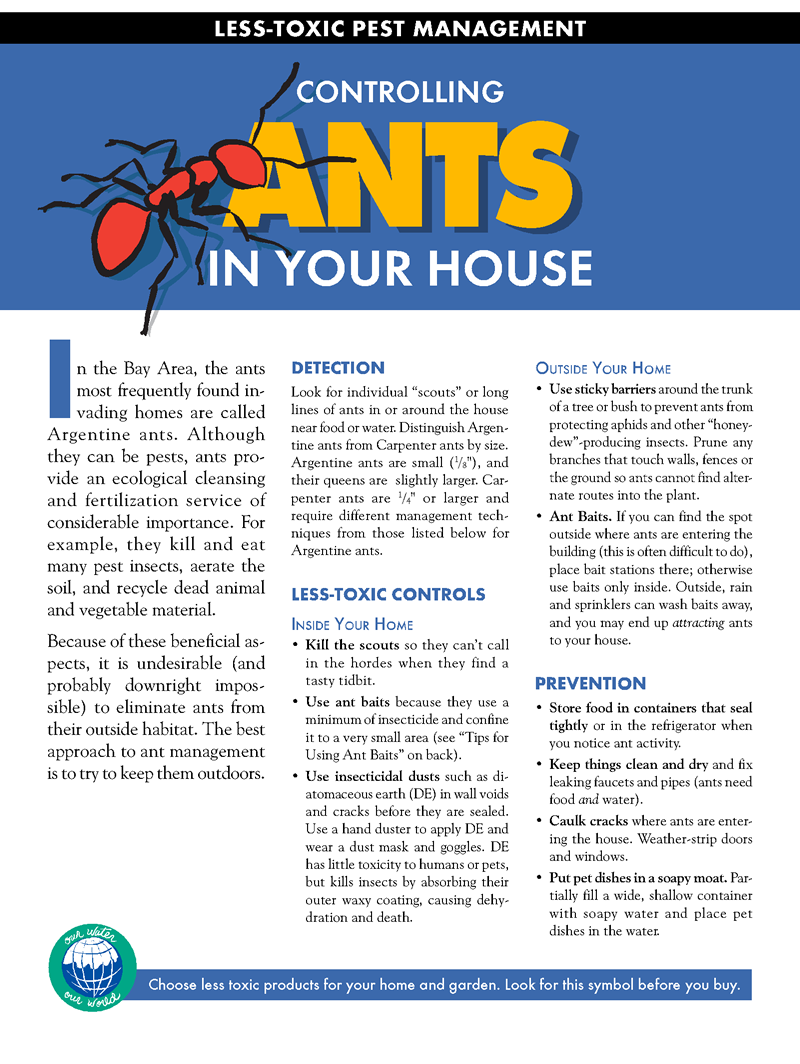 Ants1