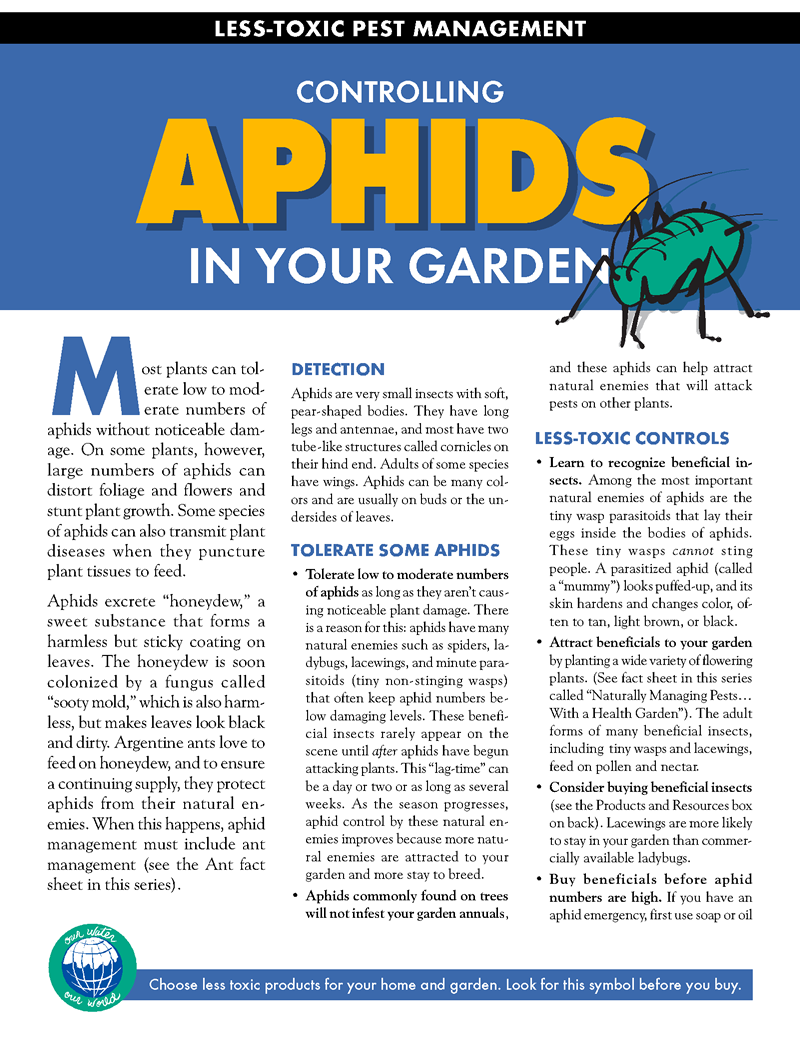 Aphids1