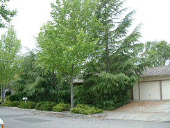 IMG00043