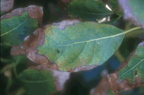 IMG00108