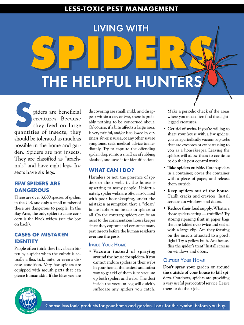 spiders1