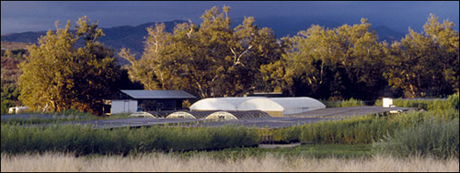 TOLN-Landscape-4