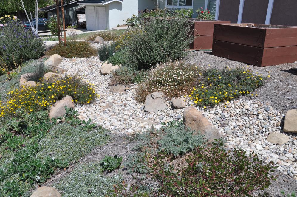 Rain Water Gardens 3