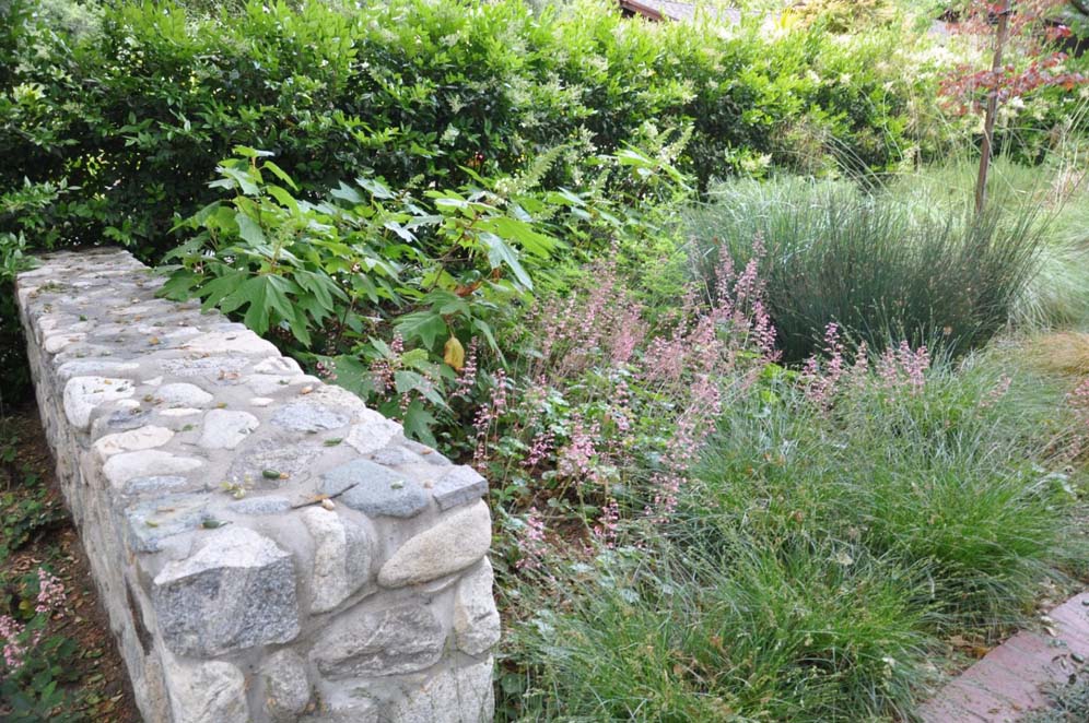Half Wall and Garden