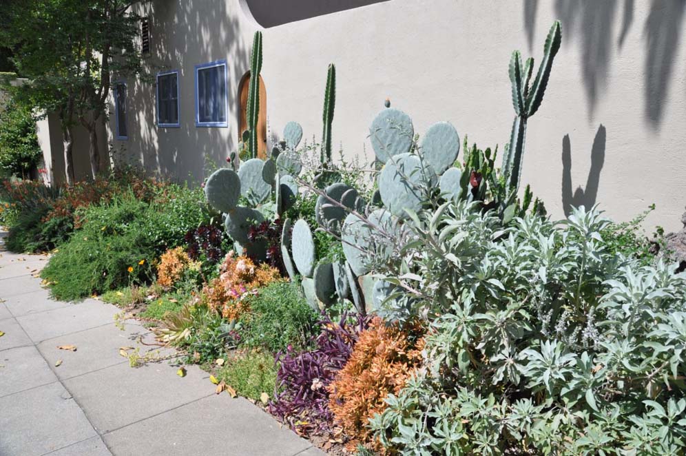 Plant Sculptures