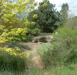 Rancho Santa Ana Botanic Garden